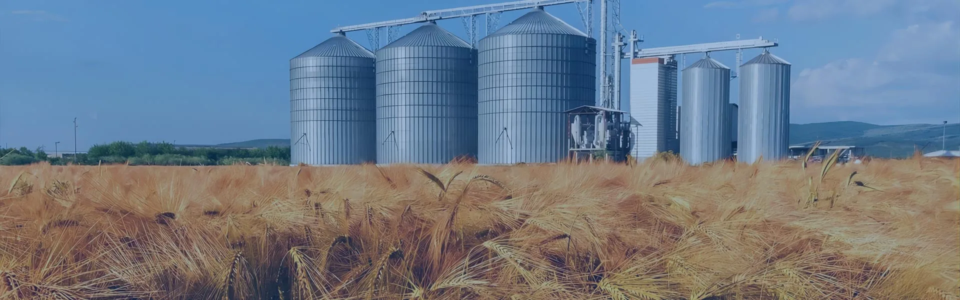 कृषि क्षेत्र